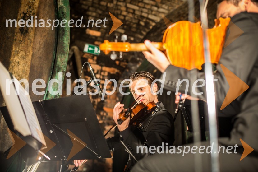 Ptuj je gostil prvi Salon Sauvignon