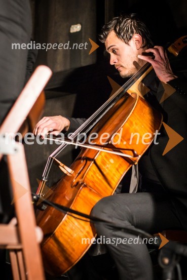 Ptuj je gostil prvi Salon Sauvignon