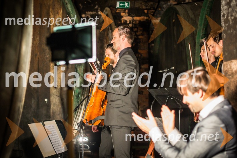 Ptuj je gostil prvi Salon Sauvignon