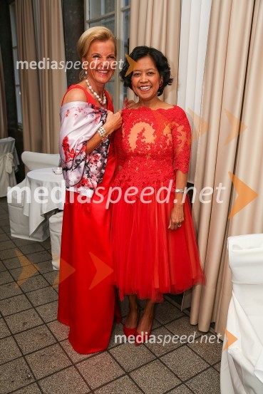 Mednarodni gala večer društva Sila