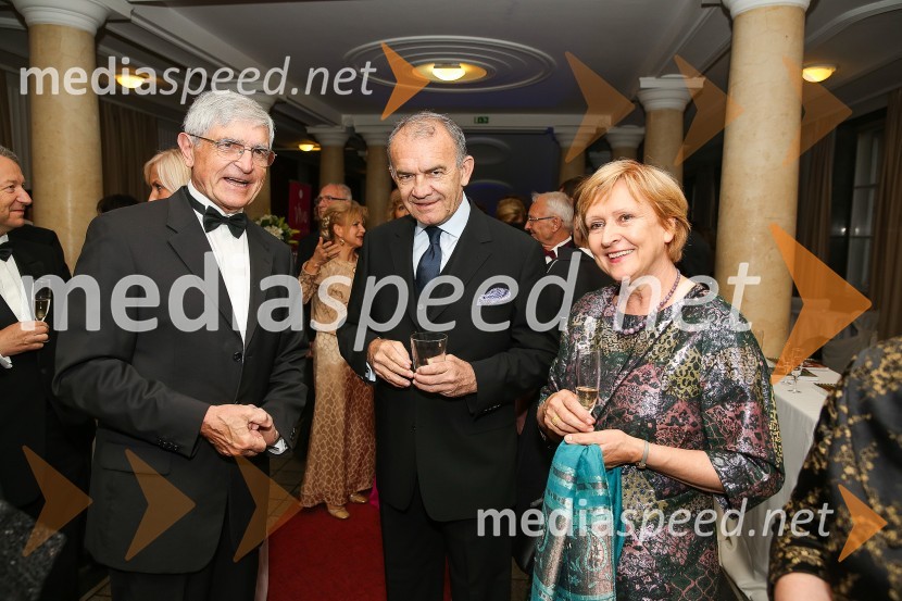 Mednarodni gala večer društva Sila