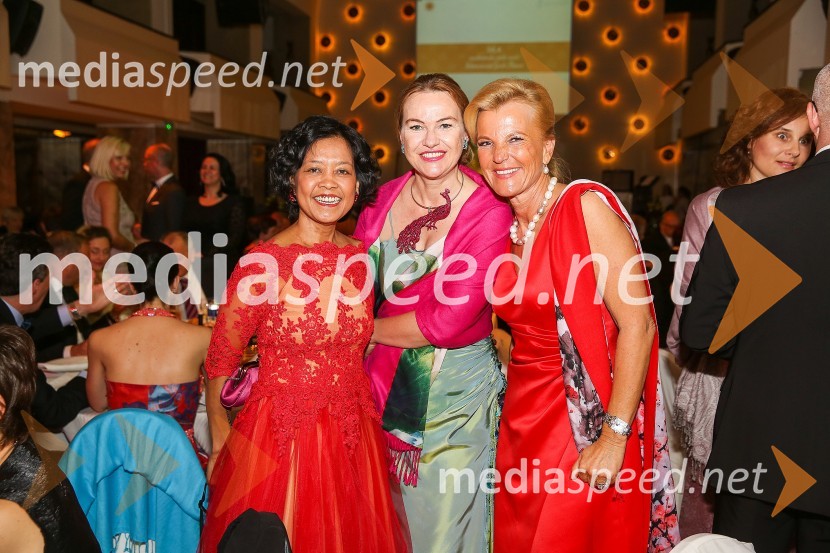 Mednarodni gala večer društva Sila