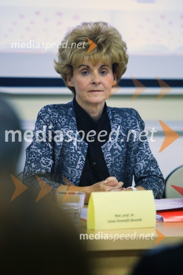 prof. dr. Irena Stramljič Breznik, Filozofska fakulteta, Univerza v Mariboru16. mednarodna slavistična konferenca, Univerza v Mariboru