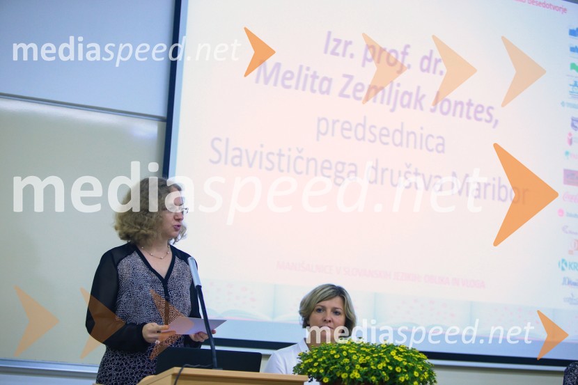 prof. dr. Melita Zemljak Jontes, Filozofska fakulteta, Univerza v Mariboru16. mednarodna slavistična konferenca, Univerza v Mariboru