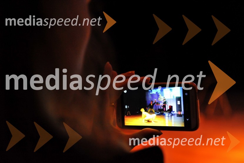 LADYBIRDORIUM live: DreamsLadybirdorium live: Dreams