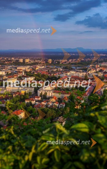 Maribor, mavricaZlata ura v Mariboru