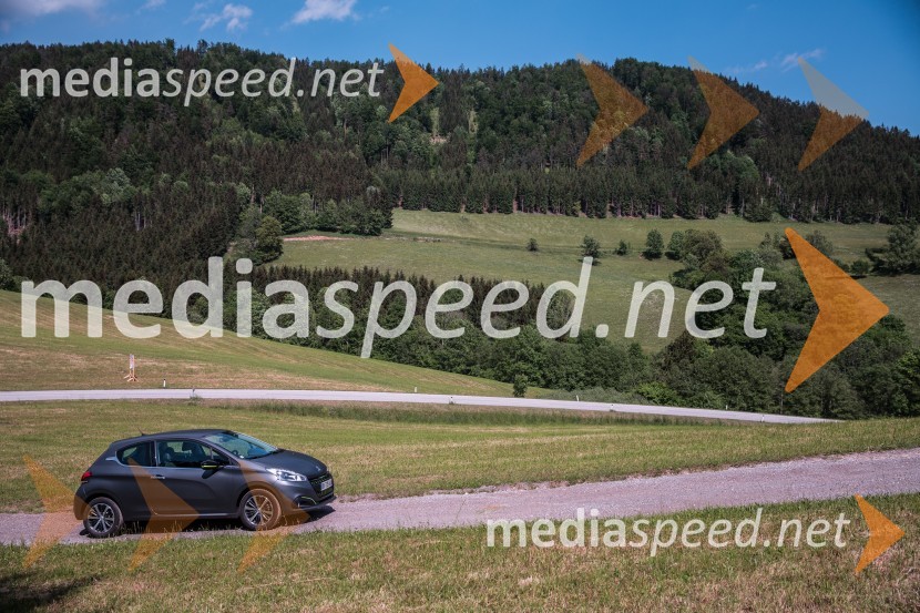 Novi Peugeot 208, mednarodna predstavitev