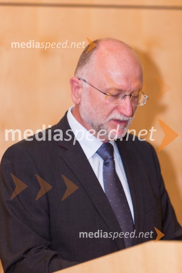 prof. dr.  Damijan Mumel, Ekonomsko poslovna fakulteta, UMPromocija doktorjev znanosti UM, junij 2015