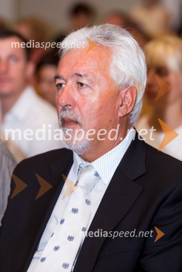 doc. dr. Janez Mayer, Fakulteta za organizacijske vede, UMPromocija doktorjev znanosti UM, junij 2015