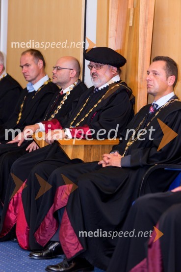 prof. dr. Igor Tičar, rektor, Univerza v MariboruPromocija doktorjev znanosti UM, junij 2015