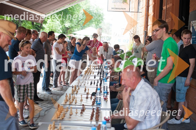 Boj za krono, zimski športni junaki igrajo šahBoj za krono, zimski športni junaki igrajo šah