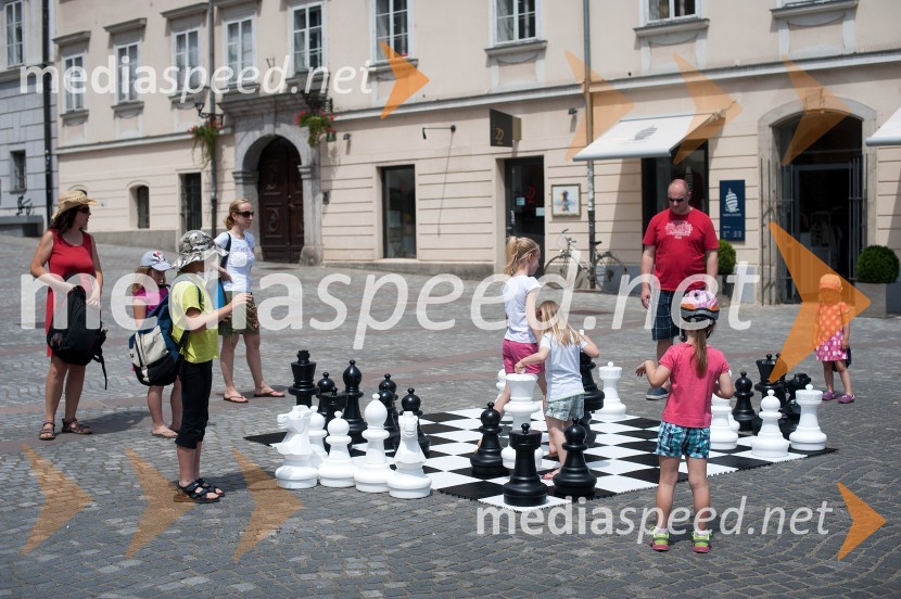Boj za krono, zimski športni junaki igrajo šahBoj za krono, zimski športni junaki igrajo šah