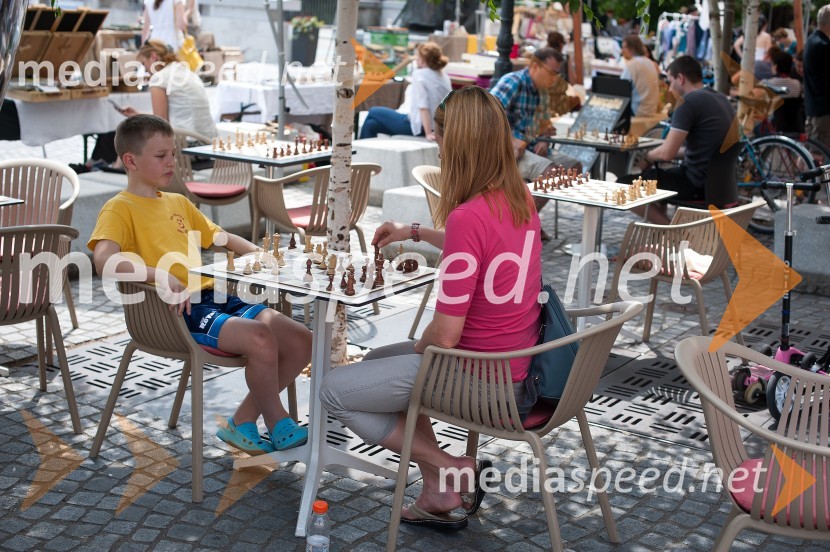 Boj za krono, zimski športni junaki igrajo šah