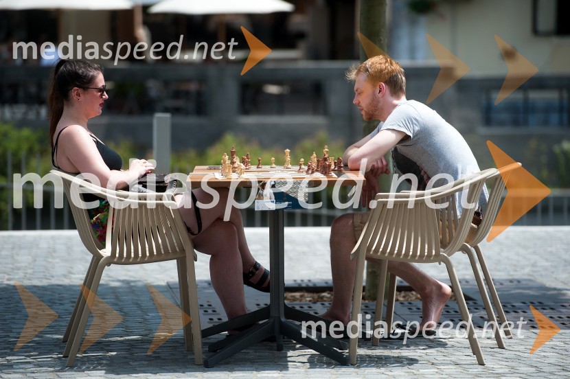 Boj za krono, zimski športni junaki igrajo šah