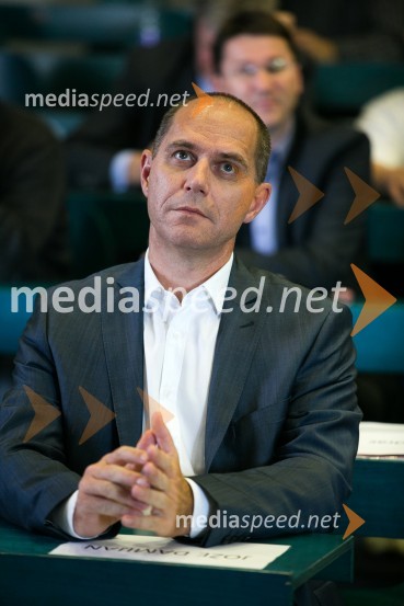 prof. dr.  Jože  P. Damijan, Ekonomska fakulteta v LjubljaniZlom bančnega sistema: pogled »nazaj v prihodnost«