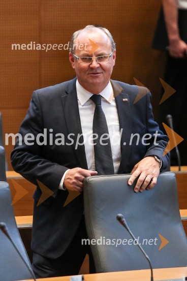  Jožef Horvat, poslanec stranke NSiProslava ob Dnevu državnosti