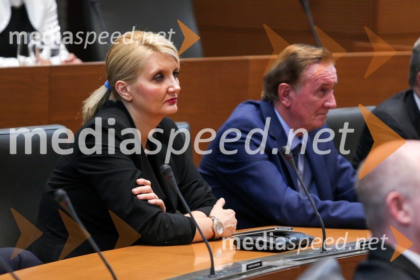  Vesna Györkös Žnidar, ministrica za notranje zadeveProslava ob Dnevu državnosti