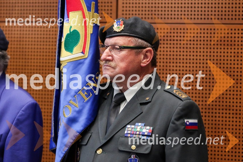 Proslava ob Dnevu državnosti