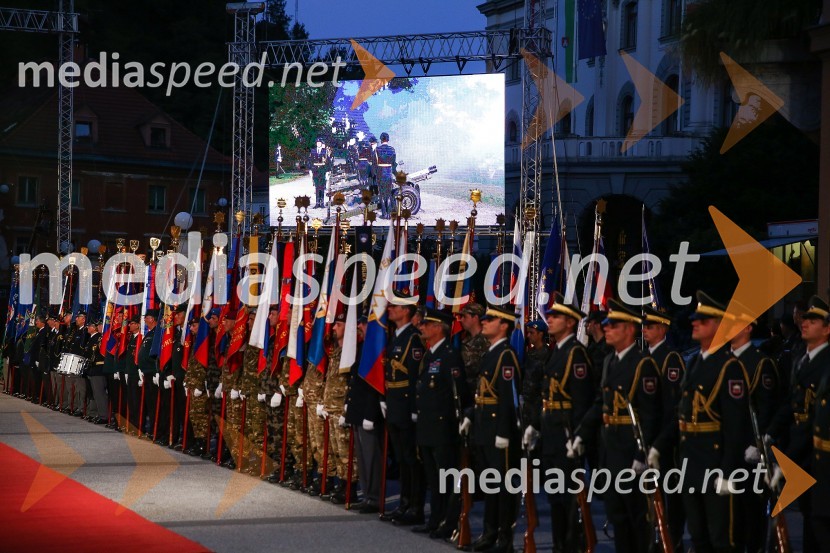 Proslava ob Dnevu državnostiProslava ob Dnevu državnosti