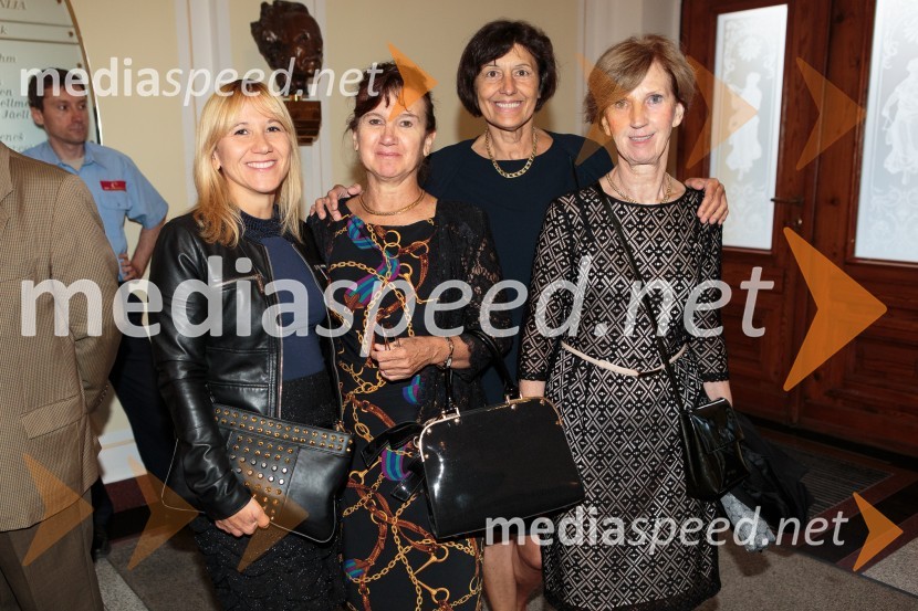 V slogi je moč, komorni godalni orkester Slovenske filharmonije z gosti