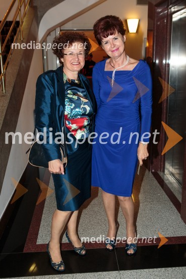 V slogi je moč, komorni godalni orkester Slovenske filharmonije z gosti