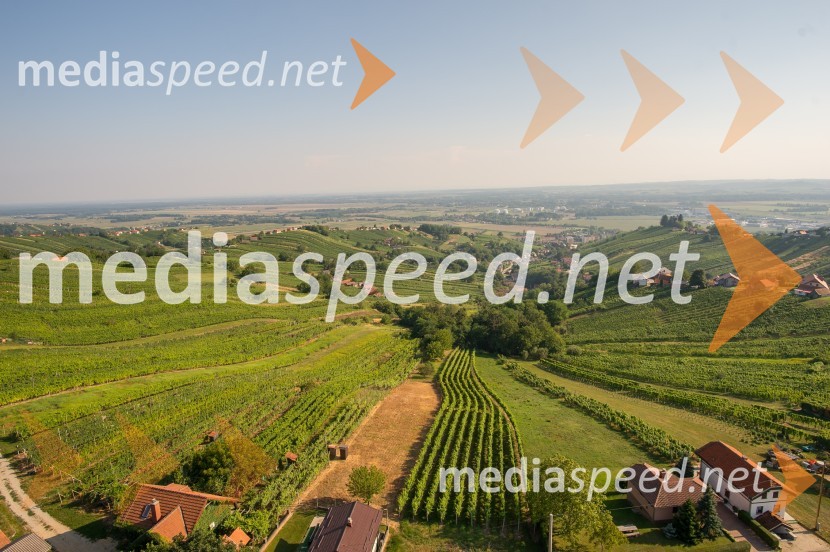 Vinarium Lendava, razgledni stolp