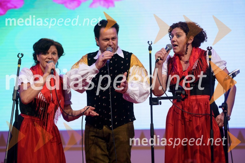 Kurt und seine OberkrainerFestival Avsenik 2015, petek