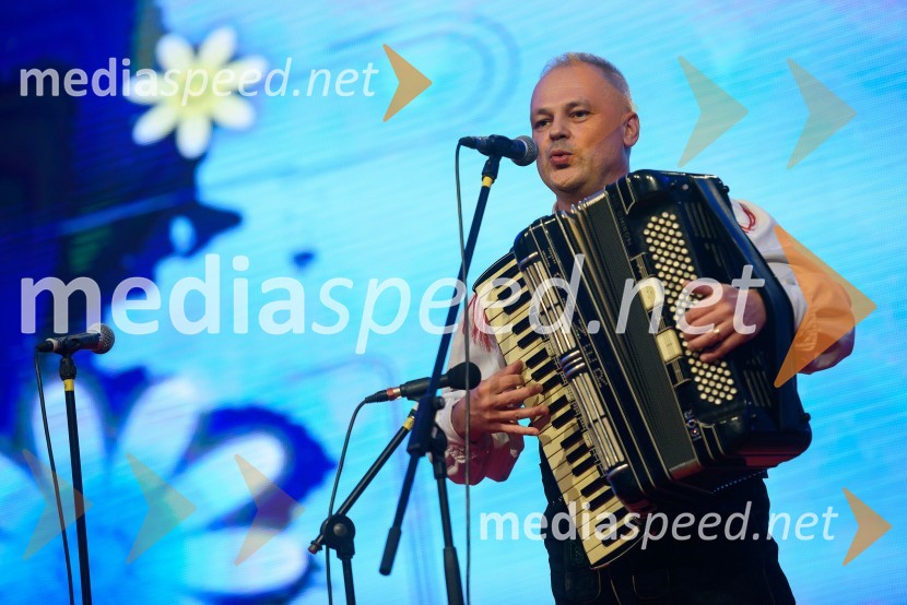 Festival Avsenik 2015, petek