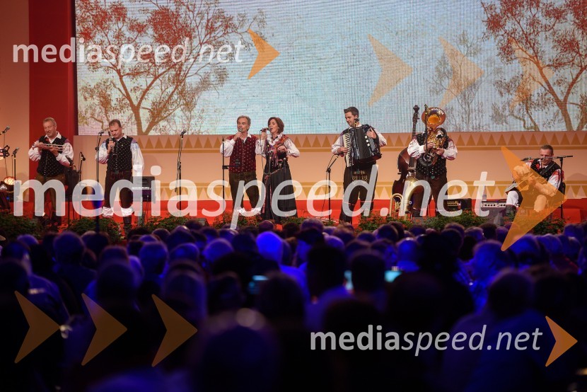 Schwarzwald krainerFestival Avsenik 2015, petek