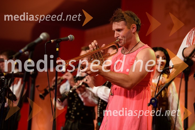 Festival Avsenik 2015, petek