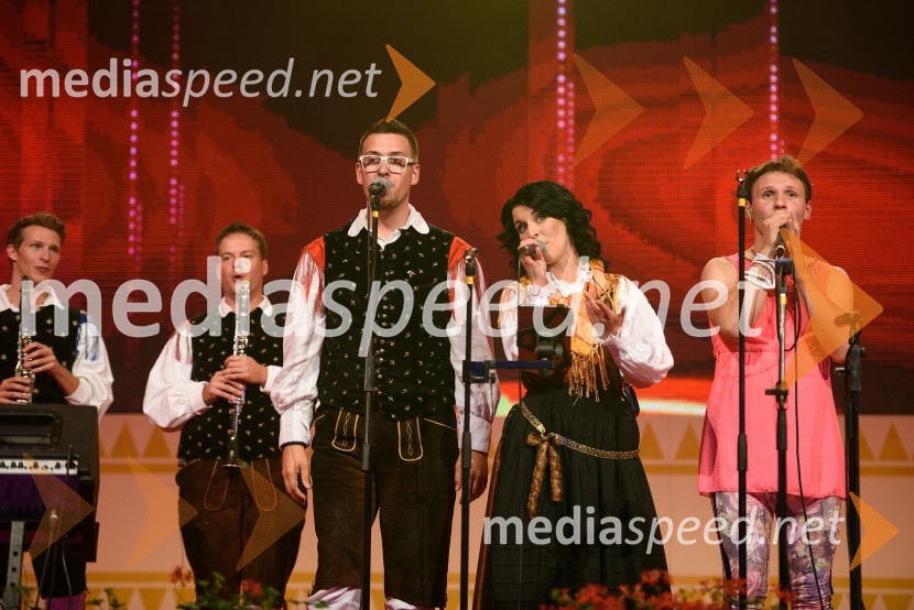 Festival Avsenik 2015, petek