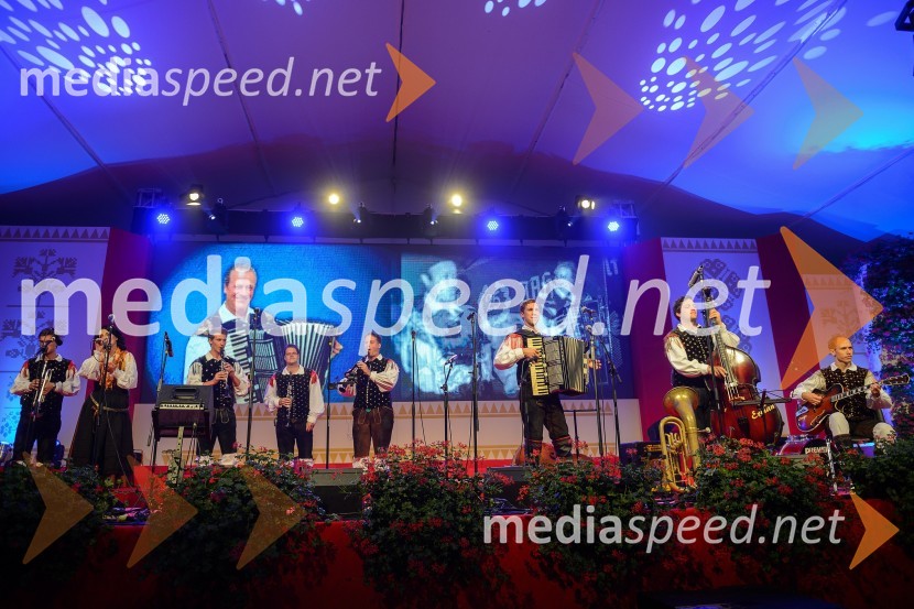 Festival Avsenik 2015, petek