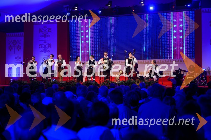 Festival Avsenik 2015, petek