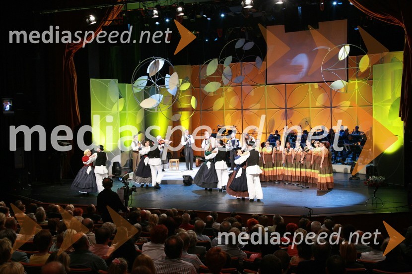 Akademska folklorna skupina KUD Študent Maribor in vokalna skupina SrakeFestival narečnih popevk 2007