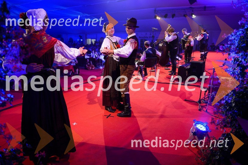 Festival Avsenik 2015, petek