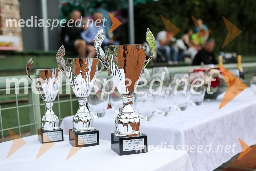 VIP tenis turnir Velenje 2015