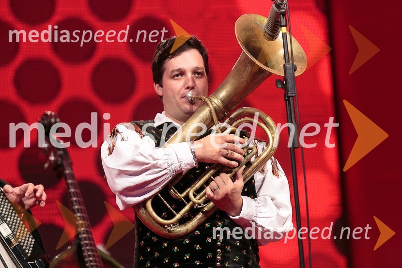  Aleš Jurman, Ansambel Saša AvsenikaFestival Avsenik 2015, sobota