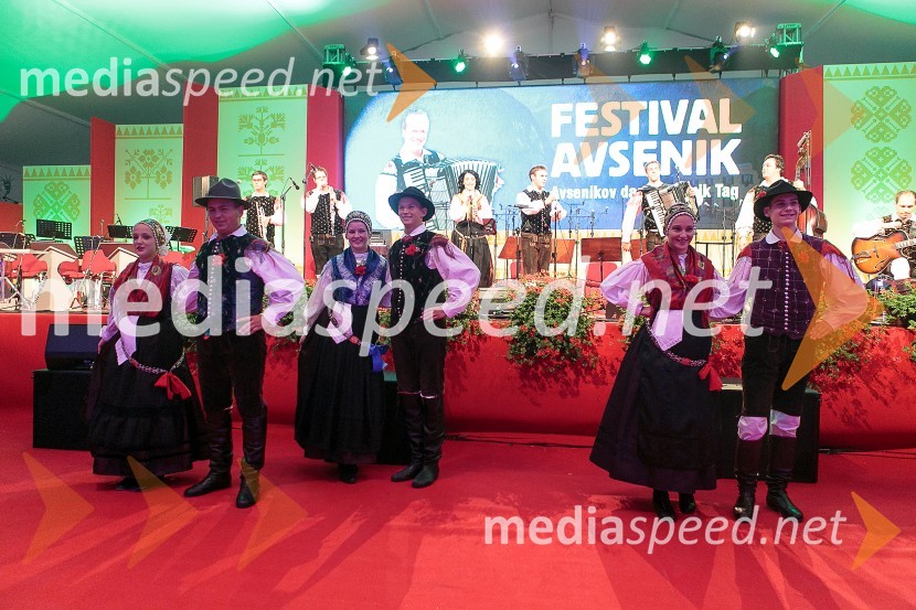 Plesalci Folklorne skupine ISKRAEMECO KranjFestival Avsenik 2015, sobota