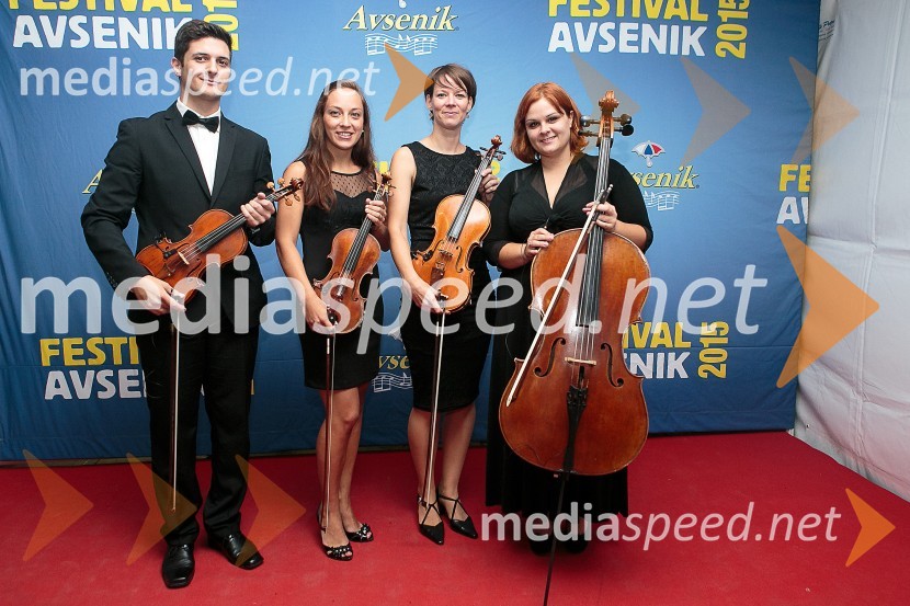 Festival Avsenik 2015, sobota