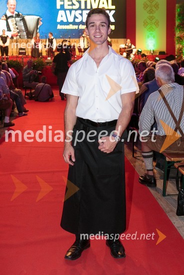  Aleš Avsenik, vodja strežbeFestival Avsenik 2015, sobota