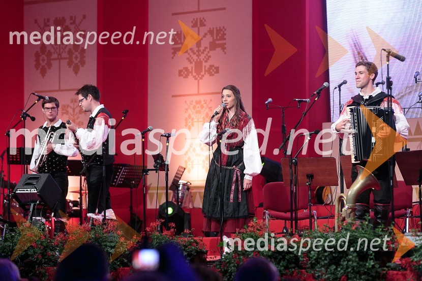  Jan Tamše, Ansambel Saša Avsenika;  Mitja Skočaj, Ansambel Slavka Avsenika;  Monika Avsenik, pevka;  Sašo Avsenik, glasbenik, Ansambel Saša AvsenikaFestival Avsenik 2015, sobota