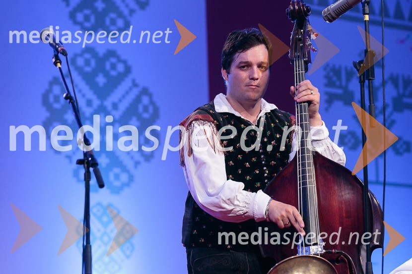  Aleš Jurman, Ansambel Saša AvsenikaFestival Avsenik 2015, sobota