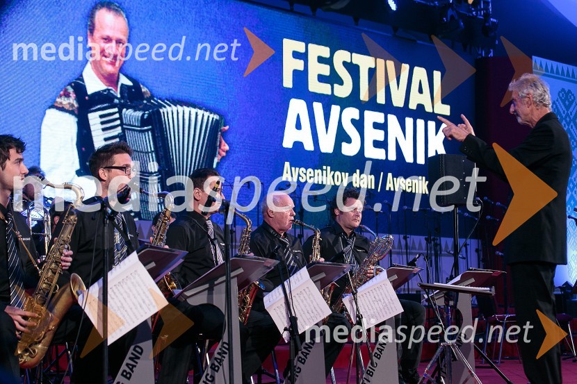 Toti Big BandFestival Avsenik 2015, sobota