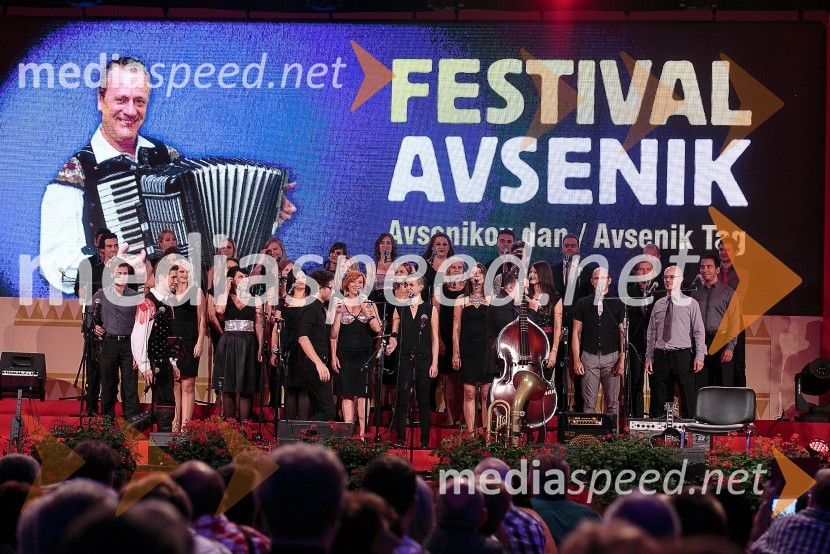 Perpetuum JazzileFestival Avsenik 2015, sobota