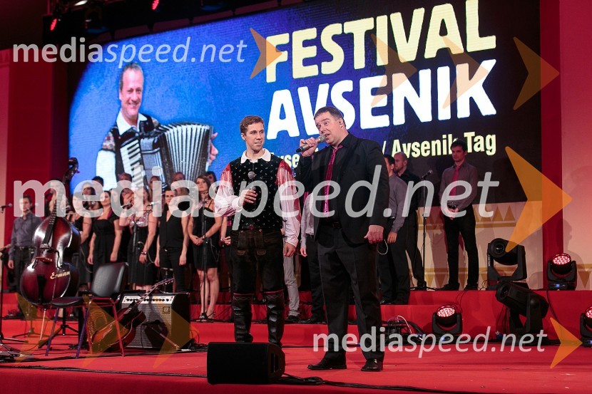  Sašo Avsenik, glasbenik, Ansambel Saša Avsenika;  ... Festival Avsenik 2015, sobota