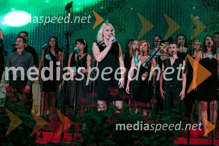 Perpetuum JazzileFestival Avsenik 2015, sobota