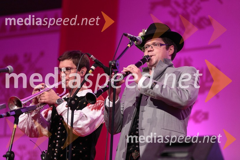  Jan Tamše, Ansambel Saša Avsenika;  Mitja Skočaj, Ansambel Slavka AvsenikaFestival Avsenik 2015, sobota