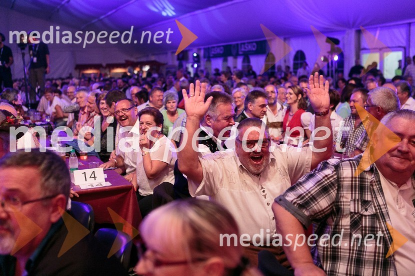 Festival Avsenik 2015Festival Avsenik 2015, sobota