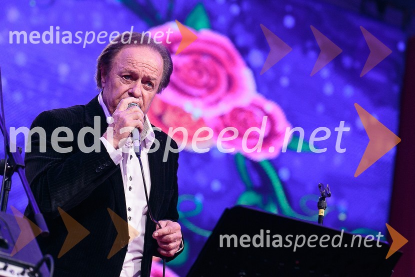  Alfi Nipič, pevecFestival Avsenik 2015, sobota