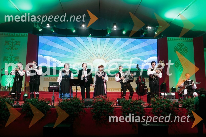 Festival Avsenik 2015Festival Avsenik 2015, sobota